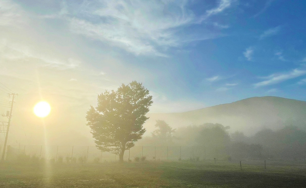 朝霧立つ風景の写真