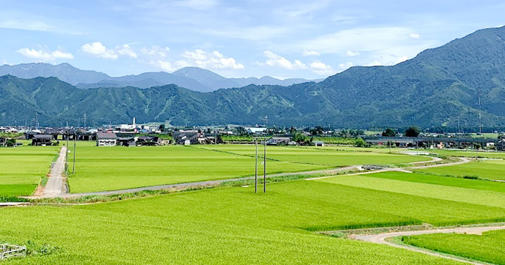 新潟県南魚沼市の田園風景