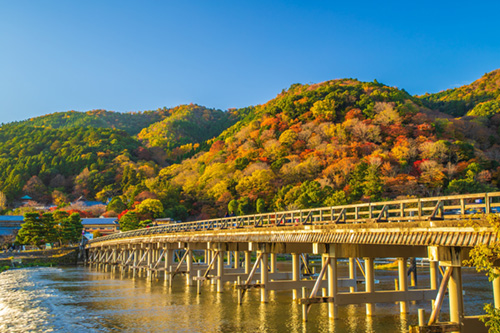 秋の紅葉鮮やかな京都嵐山の渡月橋の画像